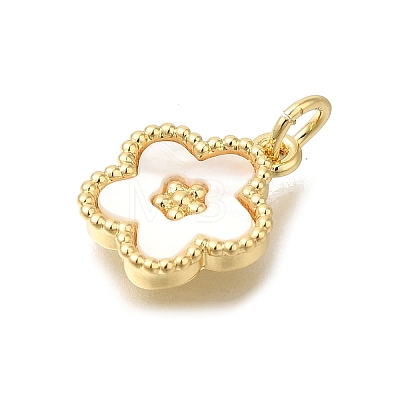 Brass Shell Pendants X-KK-R002-12G-1
