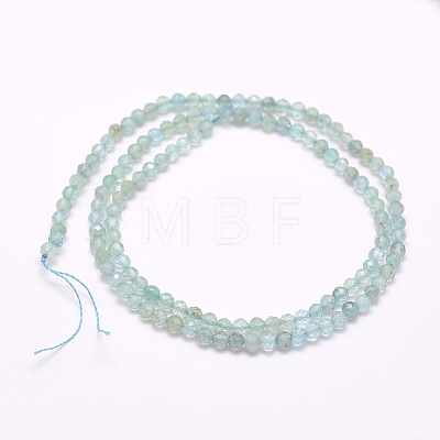 Natural Apatite Beads Strands G-I156-05-2mm-1