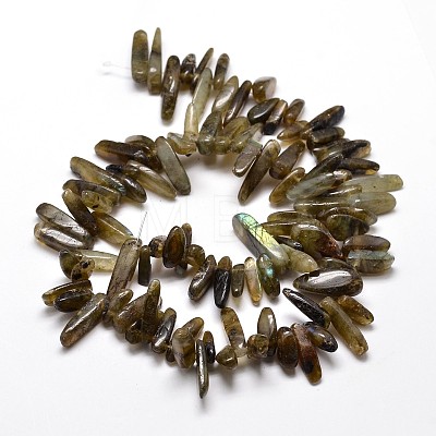 Natural Labradorite Chip Beads Strands G-E271-17-1