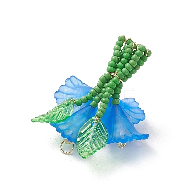 Glass Seed Beaded Pendants PALLOY-MZ01155-1