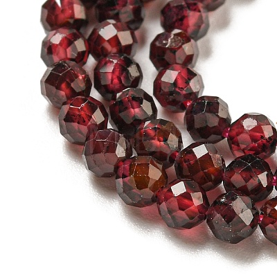 Natural Garnet Beads Strands G-I341-09C-1