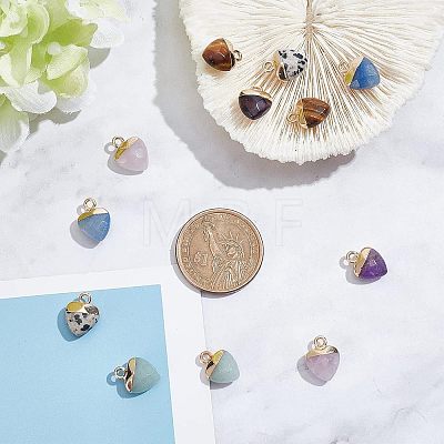  12Pcs 6 Styles Natural Gemstone Charms G-NB0003-74-1