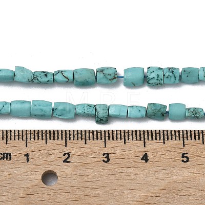 Dyed Natural Crackle Turquoise Beads Strands G-K365-G03-02-1