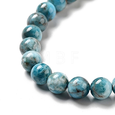 Natural Apatite Beads Strands X-G-G858-01A-1