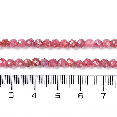 Natural Rhodonite Beads Strands X-G-G139-A16-03-1