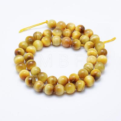 Natural Gold Tiger Eye Beads Strands G-K203-84-8mm-1