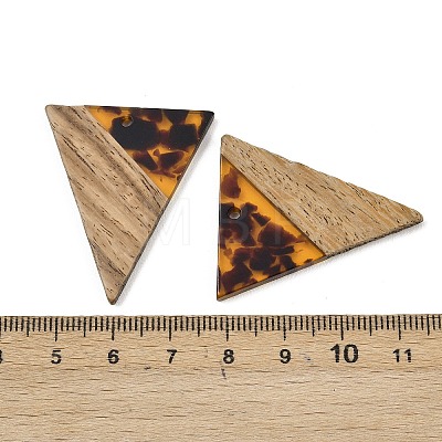 Transparwnt Resin & Walnut Wood Pendants RESI-I354-03K-1