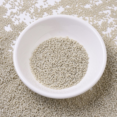 MIYUKI Delica Beads SEED-J020-DB0261-1