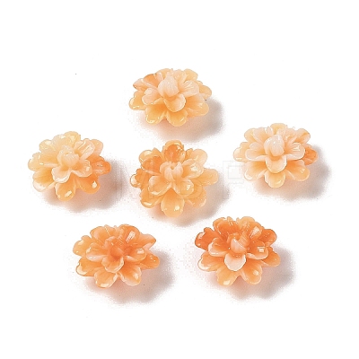 Synthetic Shell Dyed Beads SHEL-C006-01-1