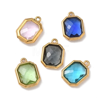 304 Stainless Steel Rhinestone Pendants STAS-P453-06G-M-1