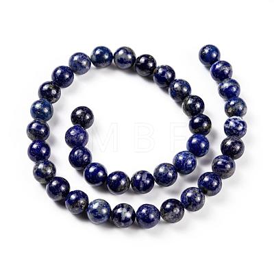 Natural Lapis Lazuli Round Beads Strands X-G-I181-09-10mm-1