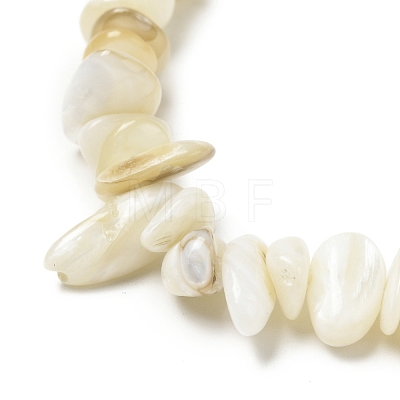 Natural Shell Beads Strands BSHE-G029-01B-1