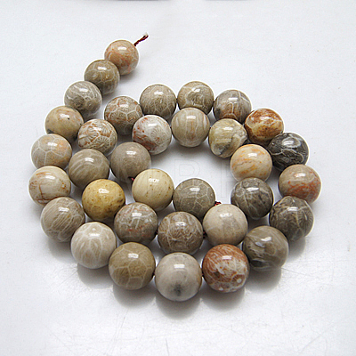 Natural Fossil Coral Round Bead Strands G-N0166-05-6mm-1
