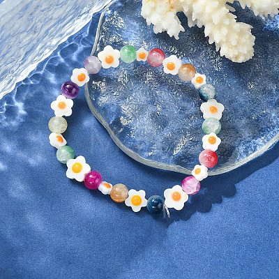 Natural Freshwater Shell Beads SHEL-YW0001-04A-1