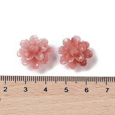 Synthetic Shell Dyed Beads SHEL-C006-01B-1
