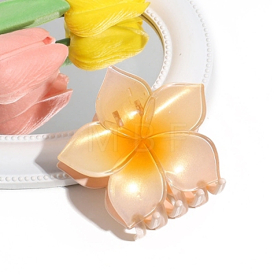 Gradient Color Plastic Claw Hair Clips PW-WG7DD1F-03-1