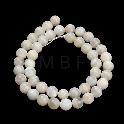 Natural White Moonstone Beads Strands G-L664-A01-8mm-1