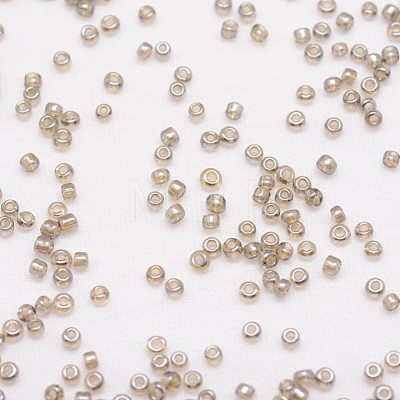 8/0 Glass Seed Beads X-SEED-J012-F8-528-1