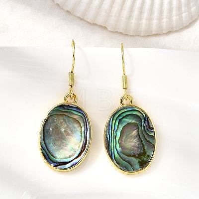 Brass Natural Paua Shell Dangle Earrings EJEW-M060-19C-G-1