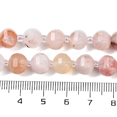 Natural Cherry Blossom Agate Beads Strands G-G182-B41-03-1