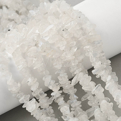 Natural Rainbow Moonstone Chip Beads Strands G-C195-01-1