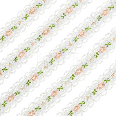 Embroidery Polyester Lace Trim OCOR-WH0033-03B-1