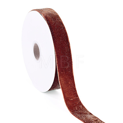 10 Yards Polyester Velvet Ribbon OCOR-TA0004-13E-1