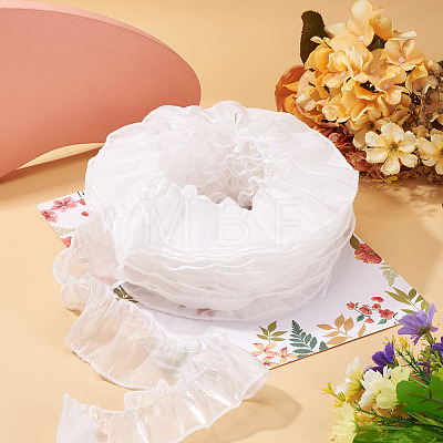 Polyester Lace Ribbon OCOR-TAC0035-25A-1