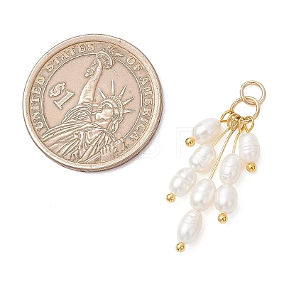 Natural Cultured Freshwater Pearl Pendants PALLOY-JF05104-1