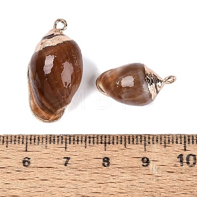 Electroplate Natural Spiral Shell Pendants SSHEL-Q100-45G-1