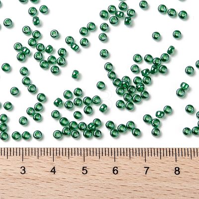 MIYUKI Round Rocailles Beads X-SEED-G008-RR0173-1