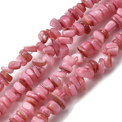 Natural Freshwater Shell Beads SHEL-B003-01K-1