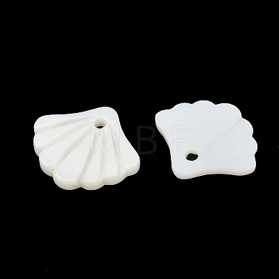 Natural Freshwater Shell Charms SHEL-K006-45A-1