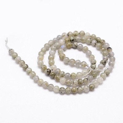 Natural Labradorite Bead Strands G-G735-29-4mm-1