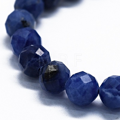 Natural Sodalite Beads Strands G-G927-42-1