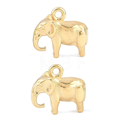 304 Stainless Steel Charms SA-CBA02E8-09G-1