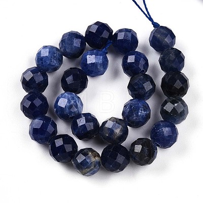 Natural Sodalite Beads Strands G-S345-8mm-26-1