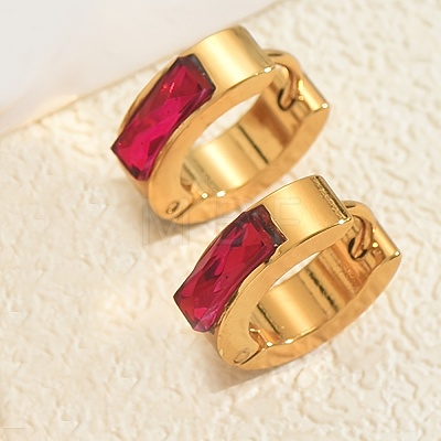 Rectangle Stainless Steel Hoop Earrings DP2427-6-1