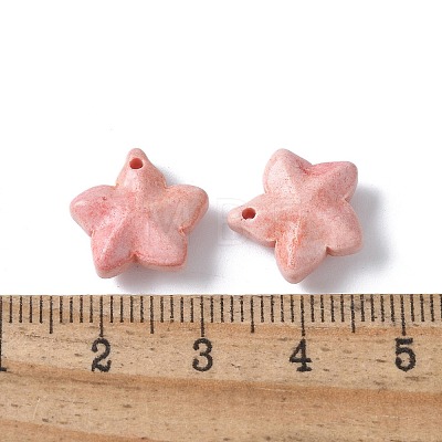 Natural Rainbow Alashan Agate Charms G-G194-02D-1