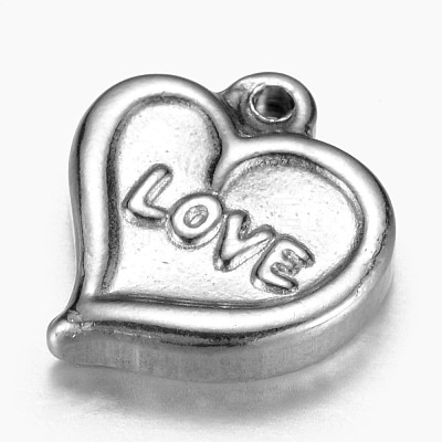 201 Stainless Steel Charms STAS-G073-15P-1