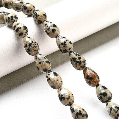 Natural Dalmatian Jasper Beads Strands G-B106-A29-02-1