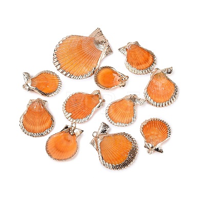 Electroplated Golden Brass Trim Natural Sea Shell Pendants SSHEL-N042-31-1
