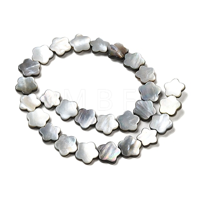 Natural Black Lip Shell Beads Strands SHEL-M021-02B-1