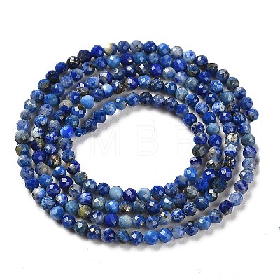 Natural Lapis Lazuli Beads Strands G-Z035-A01-01A-1