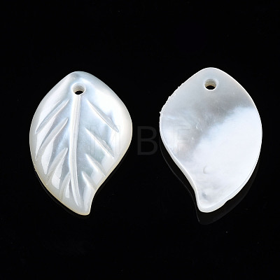 Natural White Shell Pendants SSHEL-S258-100C-1