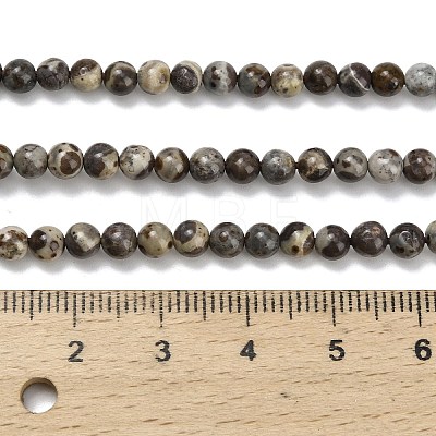 Natural Astroite Jasper Beads Strands G-F814-A01-4mm-1