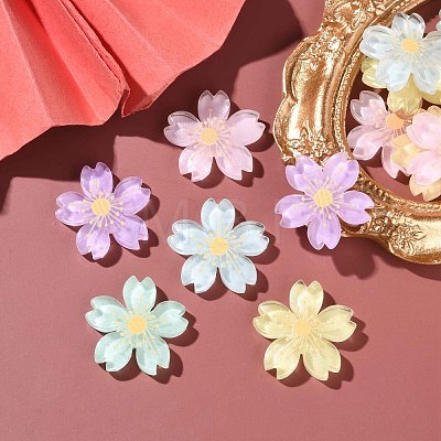 20Pcs 5 Colors Translucent Resin Cabochons OHAR-YW0001-01-1