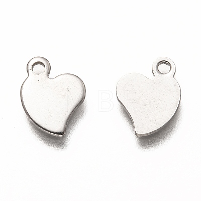 304 Stainless Steel Charms STAS-I176-16P-1