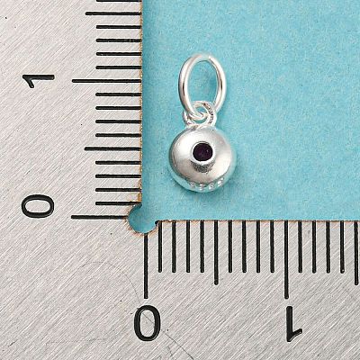 925 Sterling Silver Charms STER-G035-01D-01-1