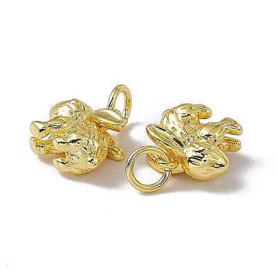 Rack Plating Brass Charms X-KK-C007-17G-1